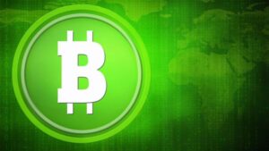 Mehr über den Artikel erfahren Was ist Bitcoin Cash – der kleine Bruder von Bitcoin