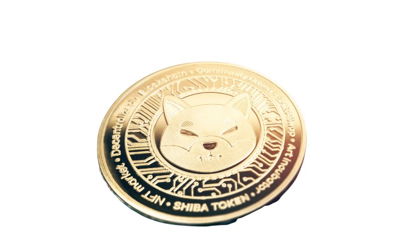 Shiba Inu Münze