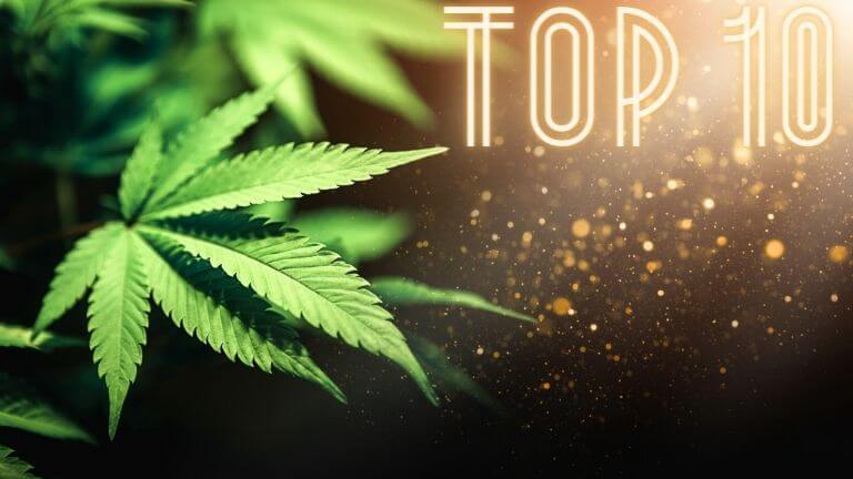 You are currently viewing 10 besten Cannabis Aktien: Detaillierte Analyse