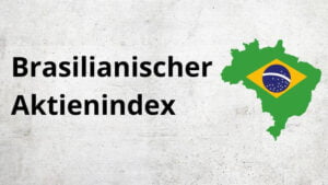 Mehr über den Artikel erfahren Brasilianischer Aktienindex – Alles über den Bovespa 70