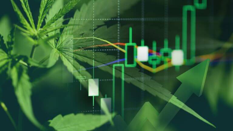 You are currently viewing Cannabis Aktien: spannende Aktien & ETFs (2024)