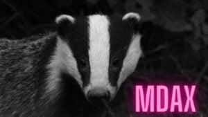 Mehr über den Artikel erfahren Was ist der MDAX – 50 Unternehmen die Deutschland bewegen